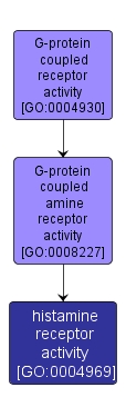 GO:0004969 - histamine receptor activity (interactive image map)