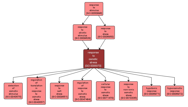 GO:0006970 - response to osmotic stress (interactive image map)