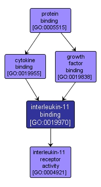 GO:0019970 - interleukin-11 binding (interactive image map)