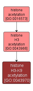 GO:0043970 - histone H3-K9 acetylation (interactive image map)