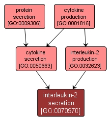 GO:0070970 - interleukin-2 secretion (interactive image map)