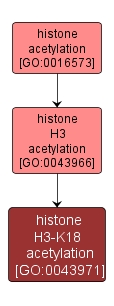 GO:0043971 - histone H3-K18 acetylation (interactive image map)