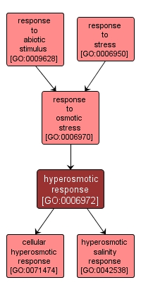 GO:0006972 - hyperosmotic response (interactive image map)