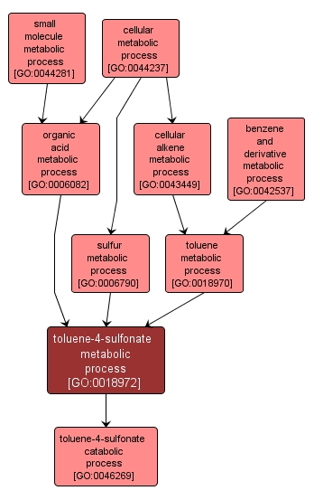 GO:0018972 - toluene-4-sulfonate metabolic process (interactive image map)