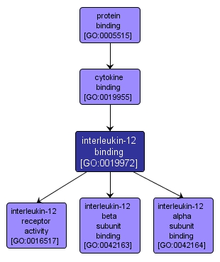 GO:0019972 - interleukin-12 binding (interactive image map)