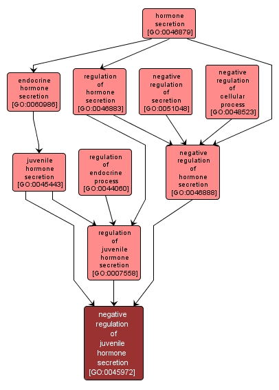 GO:0045972 - negative regulation of juvenile hormone secretion (interactive image map)