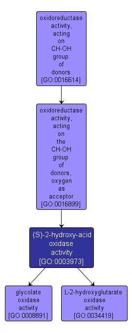 GO:0003973 - (S)-2-hydroxy-acid oxidase activity (interactive image map)
