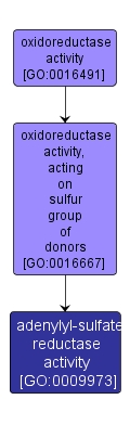 GO:0009973 - adenylyl-sulfate reductase activity (interactive image map)