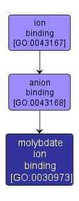 GO:0030973 - molybdate ion binding (interactive image map)
