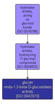 GO:0042973 - glucan endo-1,3-beta-D-glucosidase activity (interactive image map)