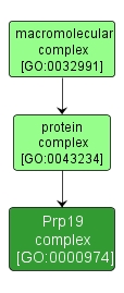 GO:0000974 - Prp19 complex (interactive image map)