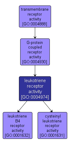 GO:0004974 - leukotriene receptor activity (interactive image map)