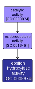 GO:0009974 - epsilon hydroxylase activity (interactive image map)