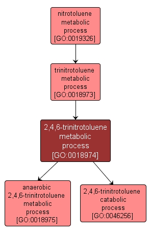 GO:0018974 - 2,4,6-trinitrotoluene metabolic process (interactive image map)