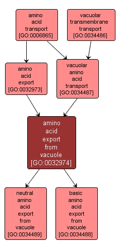 GO:0032974 - amino acid export from vacuole (interactive image map)