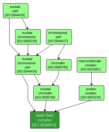 GO:0034974 - Swi5-Swi2 complex (interactive image map)