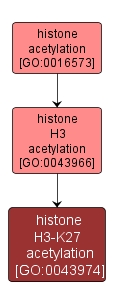GO:0043974 - histone H3-K27 acetylation (interactive image map)
