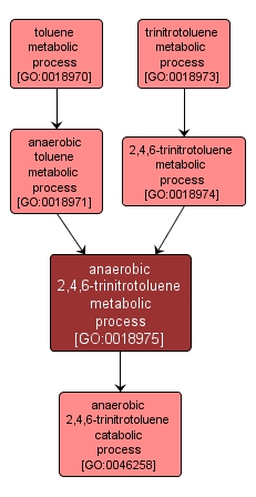GO:0018975 - anaerobic 2,4,6-trinitrotoluene metabolic process (interactive image map)