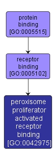GO:0042975 - peroxisome proliferator activated receptor binding (interactive image map)