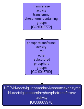 GO:0003976 - UDP-N-acetylglucosamine-lysosomal-enzyme N-acetylglucosaminephosphotransferase activity (interactive image map)