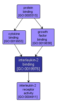 GO:0019976 - interleukin-2 binding (interactive image map)