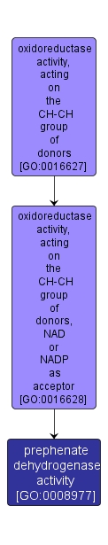 GO:0008977 - prephenate dehydrogenase activity (interactive image map)