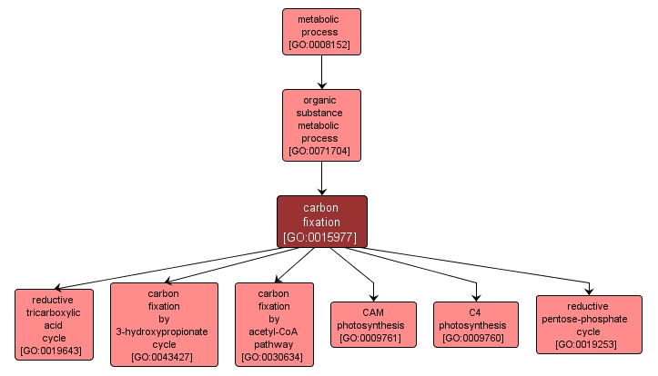 GO:0015977 - carbon fixation (interactive image map)