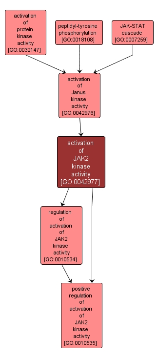 GO:0042977 - activation of JAK2 kinase activity (interactive image map)