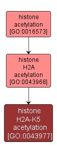 GO:0043977 - histone H2A-K5 acetylation (interactive image map)