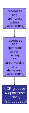 GO:0003978 - UDP-glucose 4-epimerase activity (interactive image map)