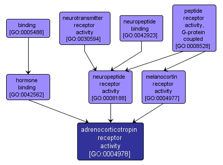 GO:0004978 - adrenocorticotropin receptor activity (interactive image map)