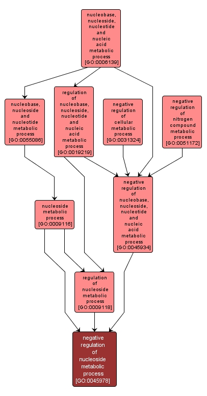 GO:0045978 - negative regulation of nucleoside metabolic process (interactive image map)