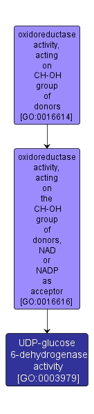 GO:0003979 - UDP-glucose 6-dehydrogenase activity (interactive image map)