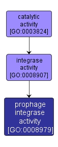 GO:0008979 - prophage integrase activity (interactive image map)