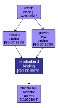 GO:0019979 - interleukin-4 binding (interactive image map)