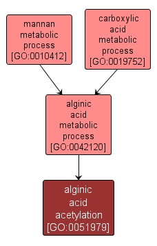 GO:0051979 - alginic acid acetylation (interactive image map)