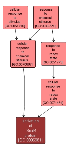 GO:0006981 - activation of SoxR protein (interactive image map)