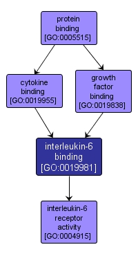 GO:0019981 - interleukin-6 binding (interactive image map)