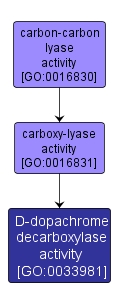 GO:0033981 - D-dopachrome decarboxylase activity (interactive image map)