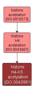 GO:0043981 - histone H4-K5 acetylation (interactive image map)