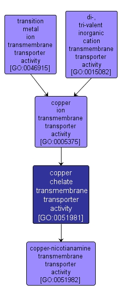 GO:0051981 - copper chelate transmembrane transporter activity (interactive image map)