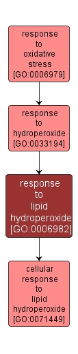 GO:0006982 - response to lipid hydroperoxide (interactive image map)