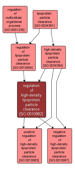 GO:0010982 - regulation of high-density lipoprotein particle clearance (interactive image map)