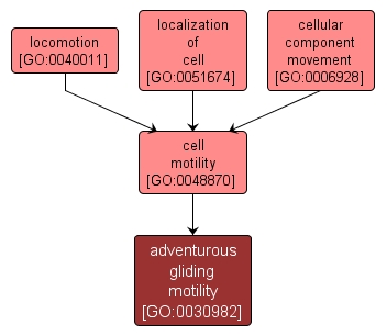 GO:0030982 - adventurous gliding motility (interactive image map)