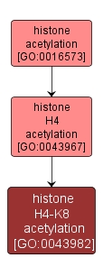 GO:0043982 - histone H4-K8 acetylation (interactive image map)