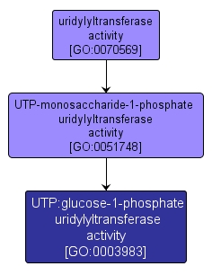 GO:0003983 - UTP:glucose-1-phosphate uridylyltransferase activity (interactive image map)