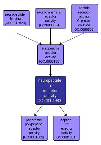 GO:0004983 - neuropeptide Y receptor activity (interactive image map)