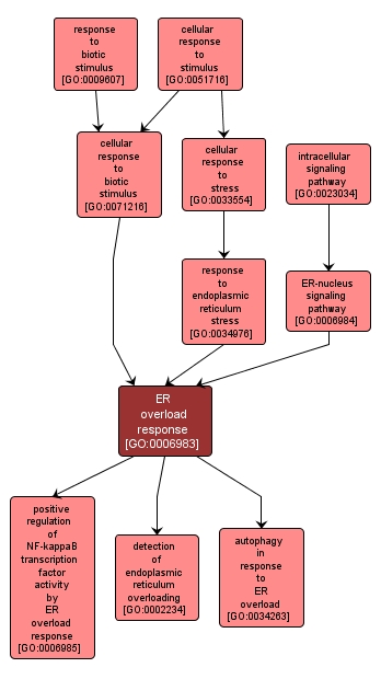 GO:0006983 - ER overload response (interactive image map)