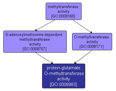 GO:0008983 - protein-glutamate O-methyltransferase activity (interactive image map)