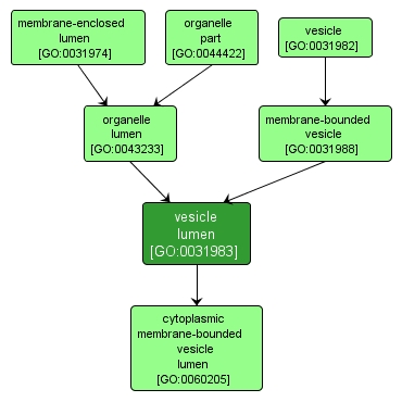 GO:0031983 - vesicle lumen (interactive image map)